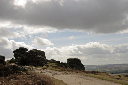 IMG_1236_edited-1