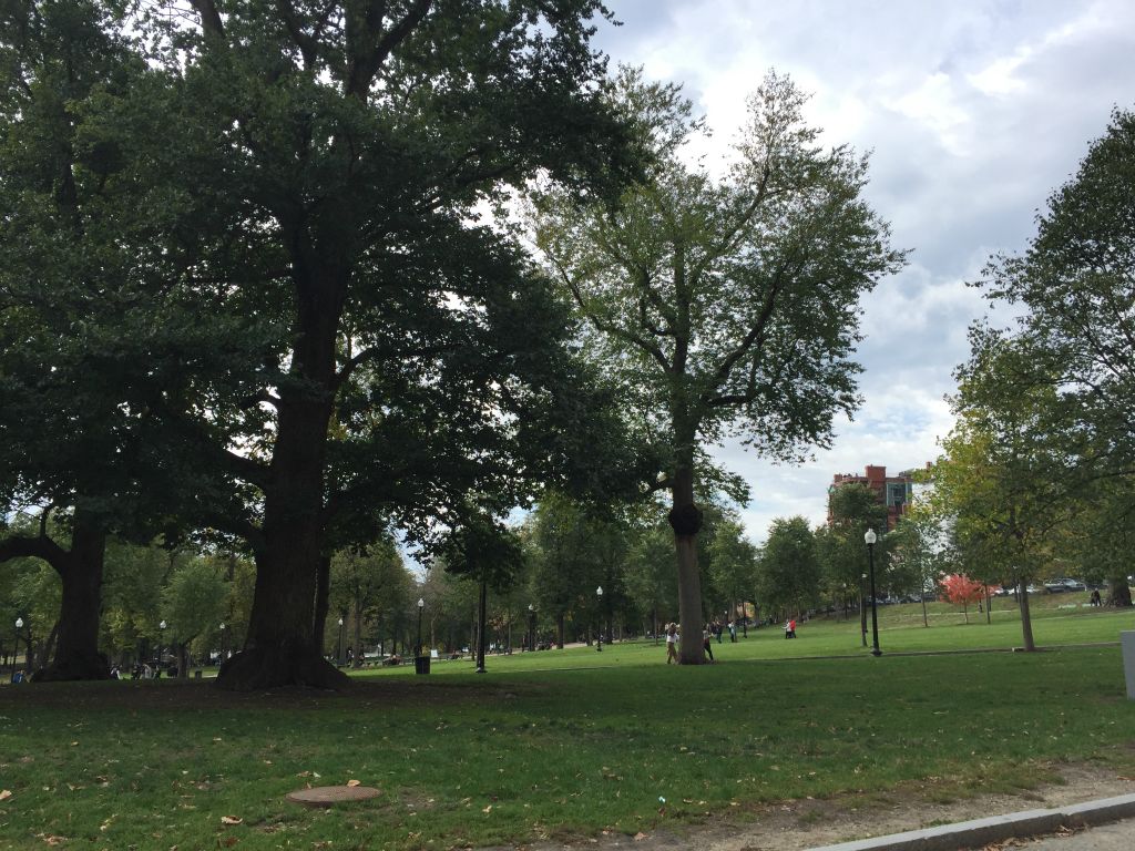 The park as we are out for our cycle tour