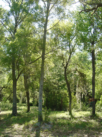 L-R is LAO16,LAO20, LO14