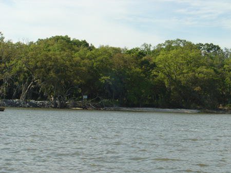 Lot from the water