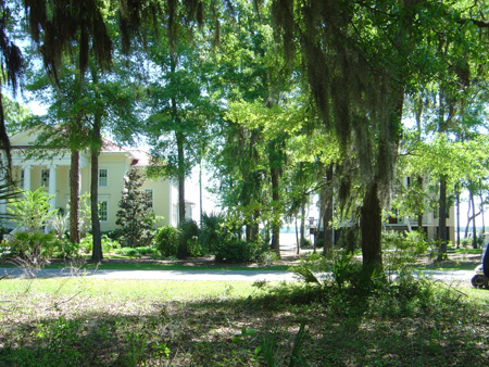 Vicki's view between houses
