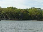 Lot from the water