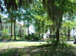 Vicki's view between houses
