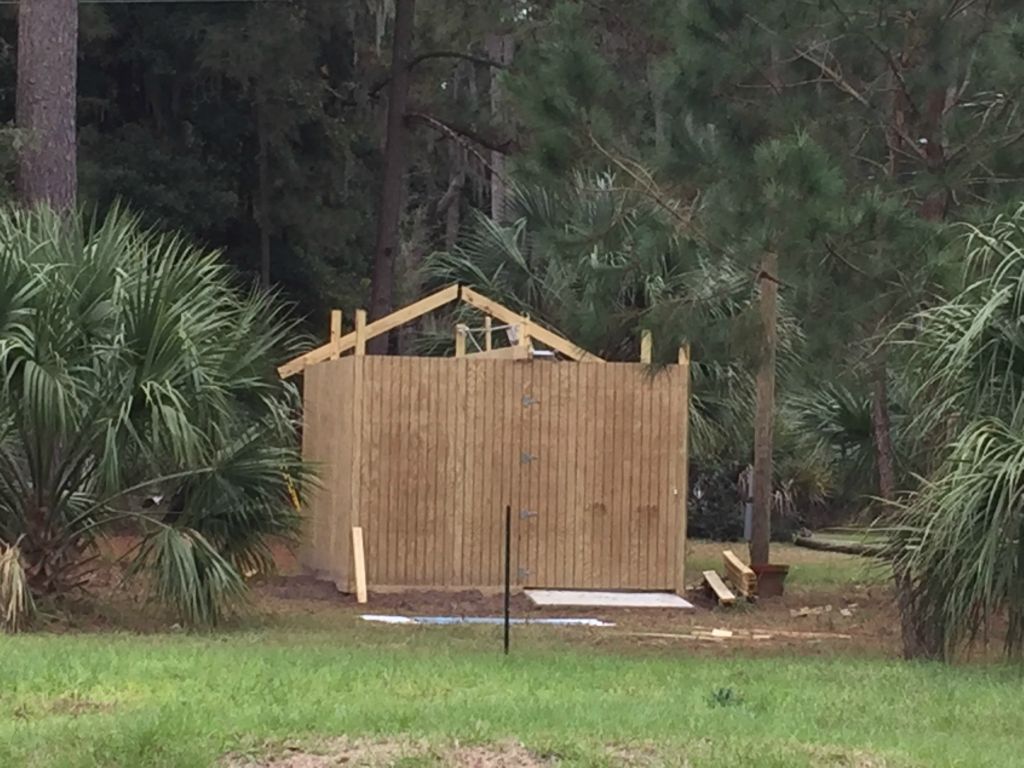 The roof starts to go up on our shed - 9 Jan 2016