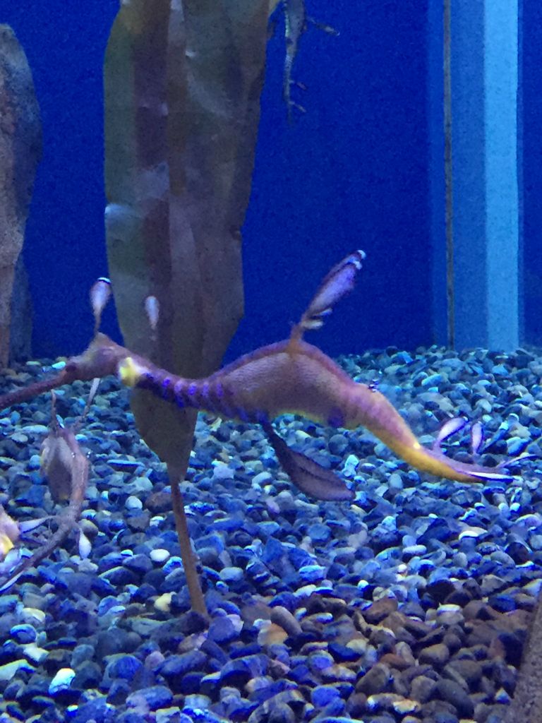 Freaky looking creatures!