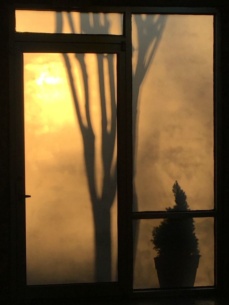At work, the early morning sun creates a cool sillouhette through our frosted front door - 17 Mar