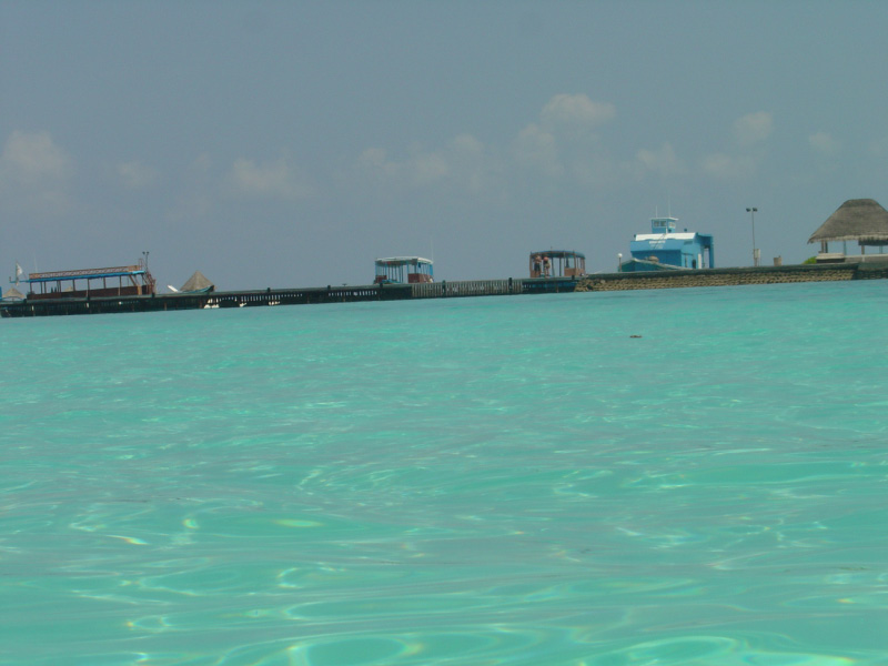 DSC01806