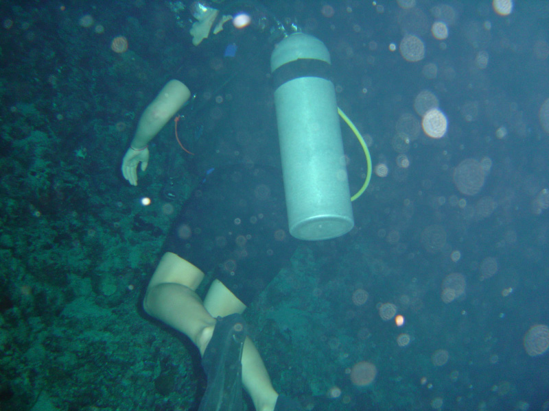 Jess Night Diving