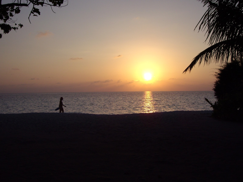 Sunset (taken by Ty)