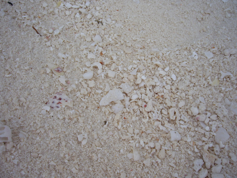 sand.