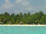 DSC01800