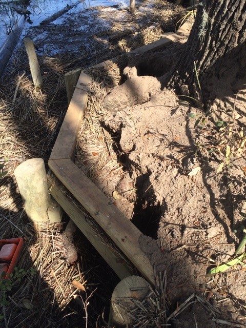 The retaining wall is in place but needs backfilling around some trees - 2 Nov