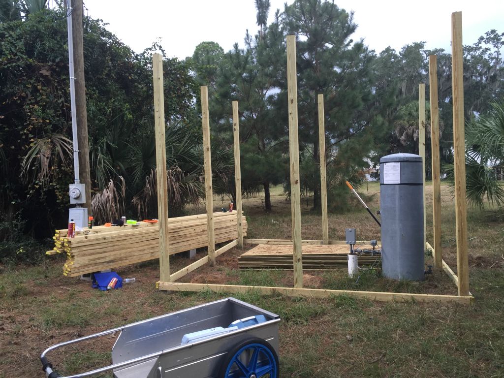 Our shed starts to be framed out - 7 Nov 2015