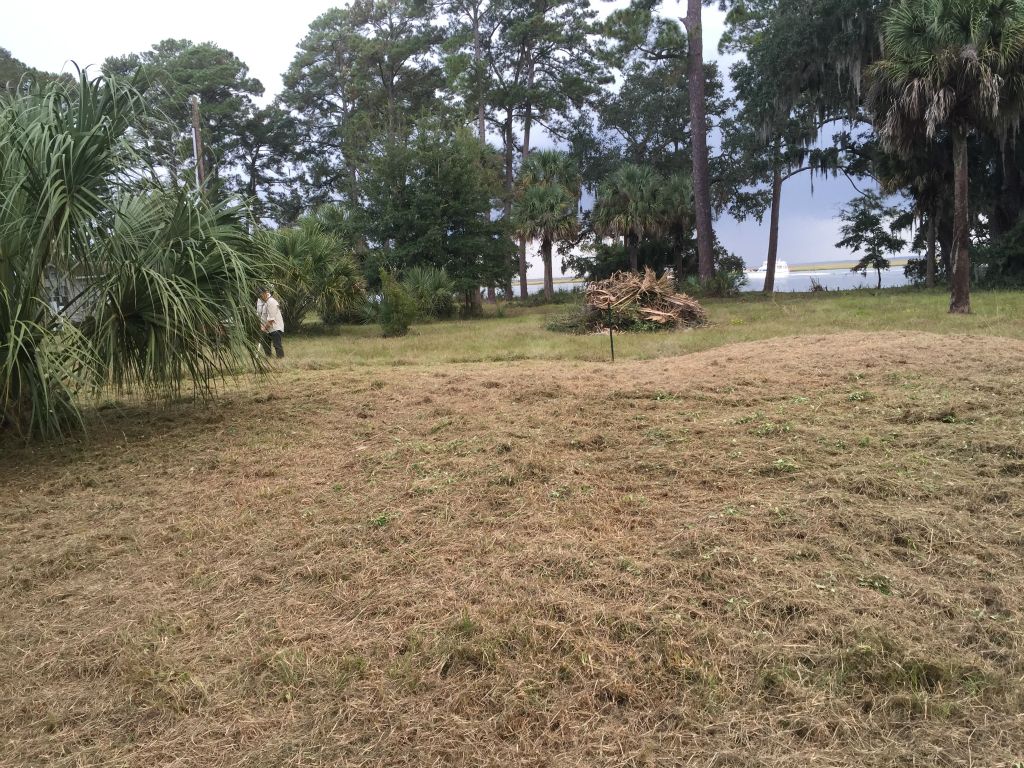 and our pile of brush grows taller.  Nick does a bunch of strimming.