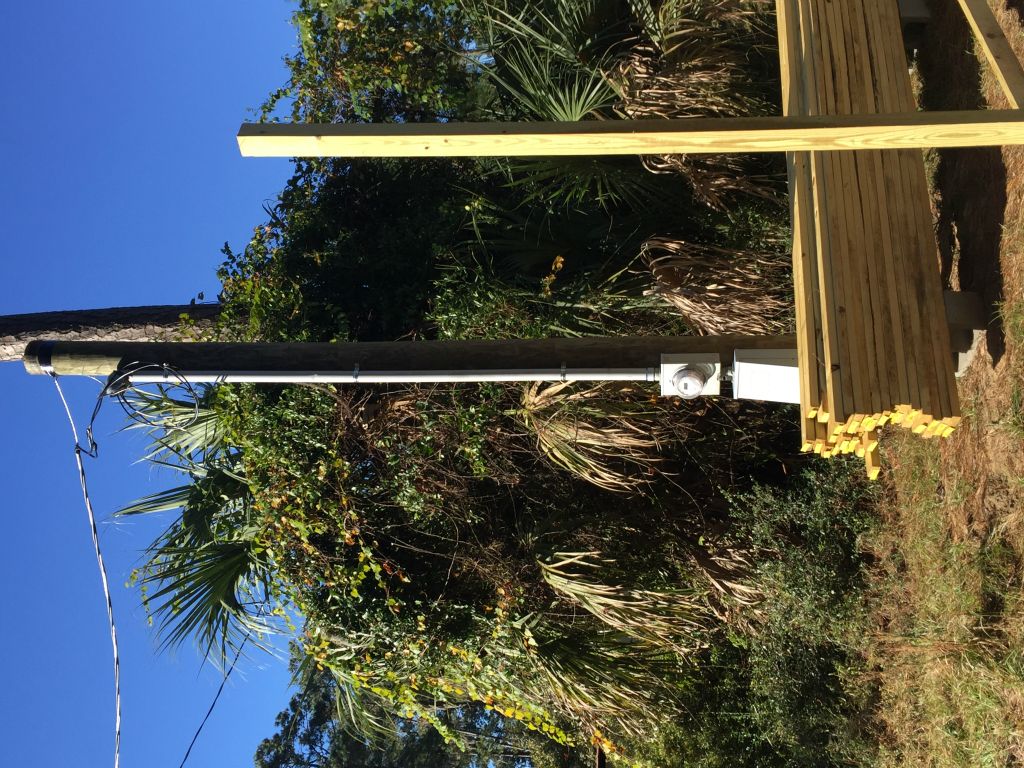 Before picture 1 - note all the ivy in the trees - 25 Nov 2015