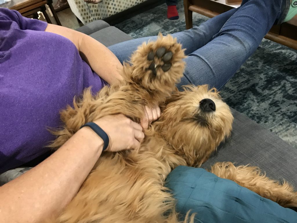 Tilly and I relax on the sofa