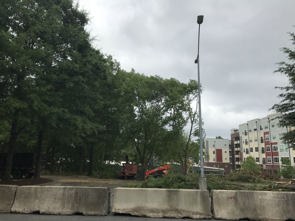 Outside my office they tear down all the trees for a new building on the beltline.  To the right of the light pole reflects the new state.  It will soon all be like this.  So sad.
