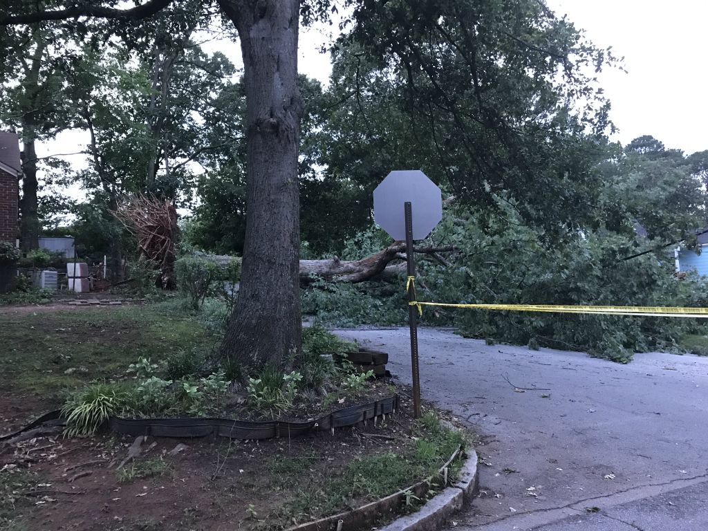 Back home there was a big storm and down the street a huge tree topples over