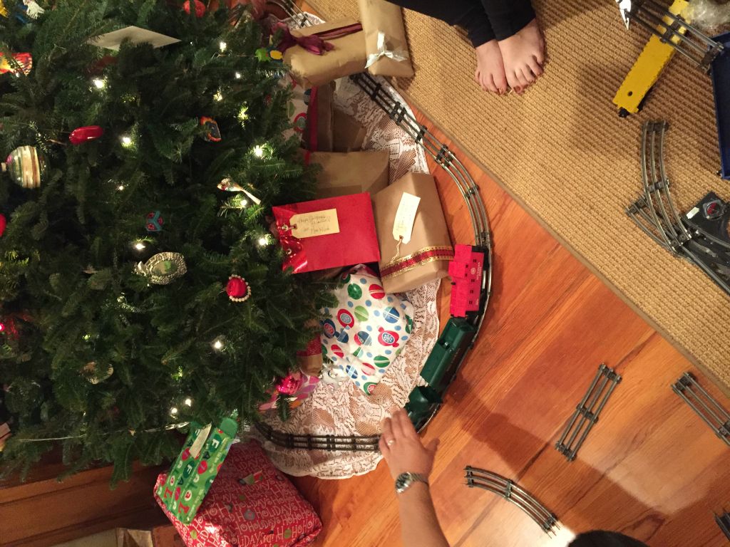 The train set all together