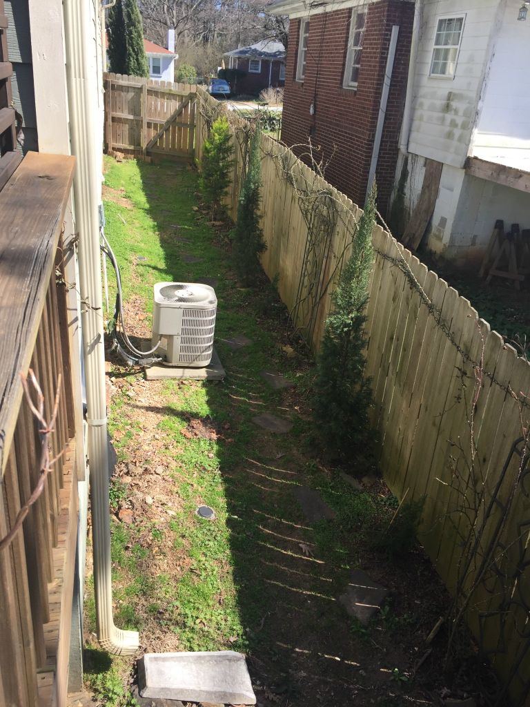 The side yard with the gate at the front.  More patchy grass and also overgrown roses along the fence.