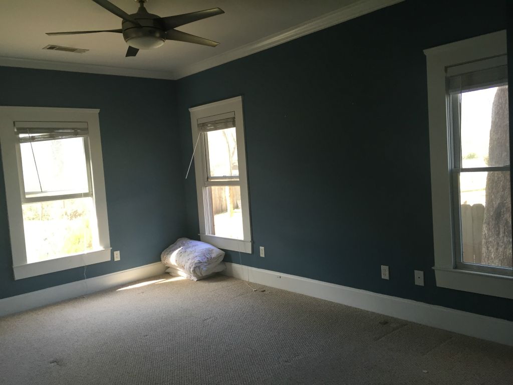 Master bedroom.  Going to get wood floors installed before we move in.