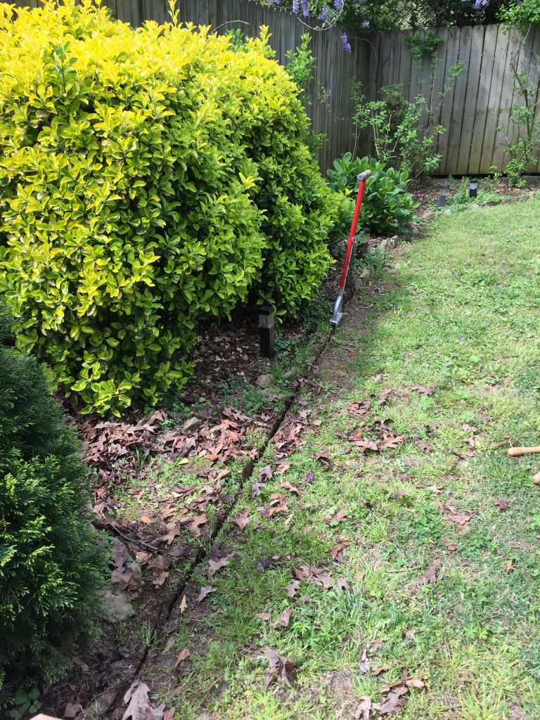 And I carry on around the whole back yard, taking up the stupid stones and establishing a clean edge