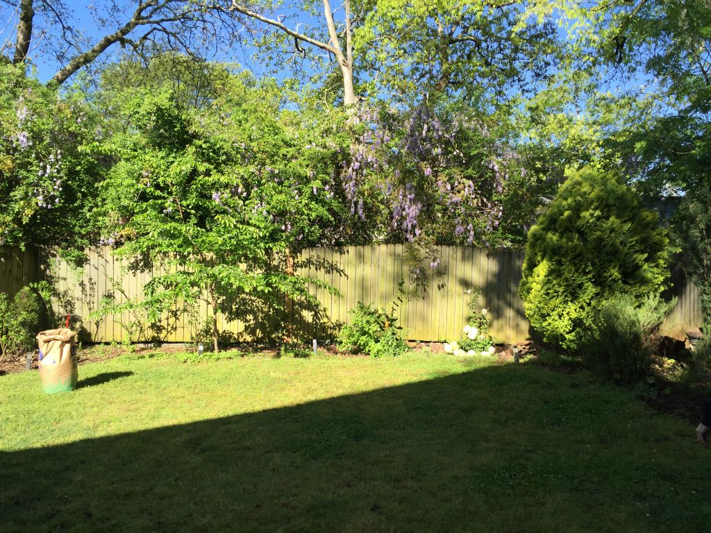 working our way around the yard edging it and weeding (Carol helps a lot!!)