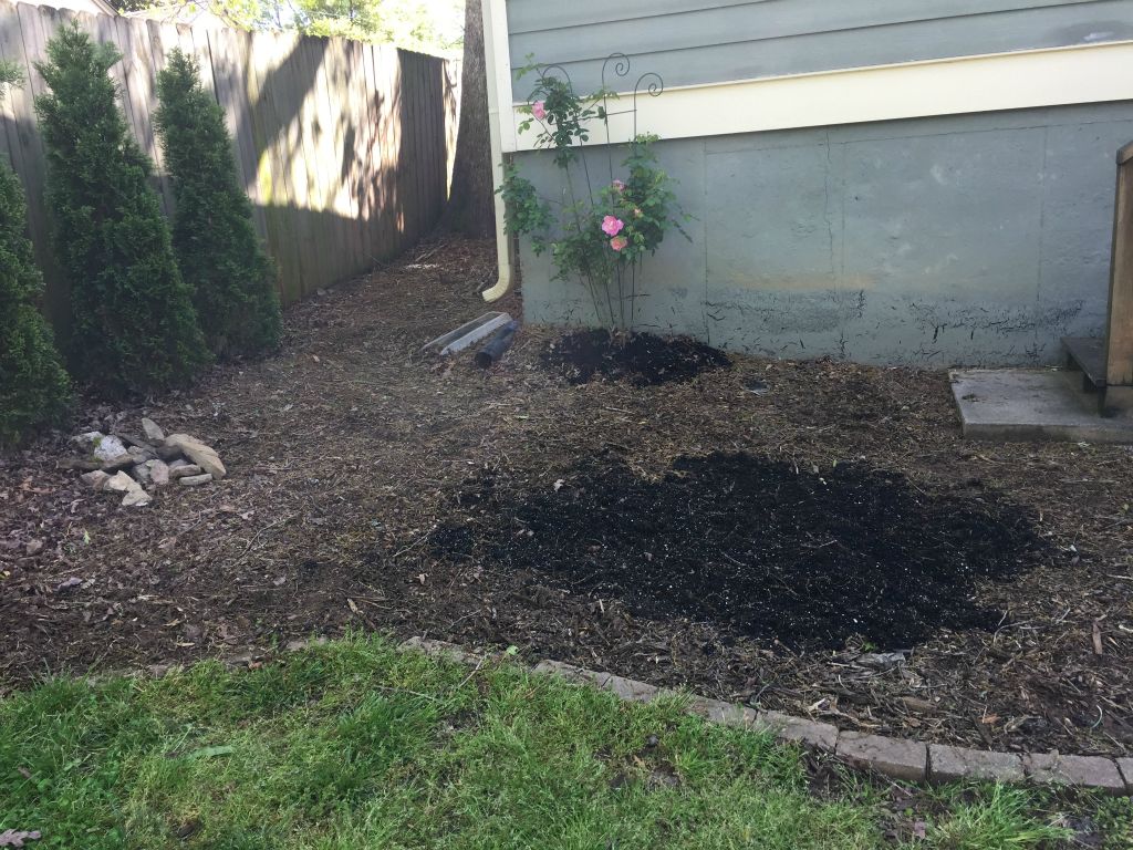 All tidy and weeded