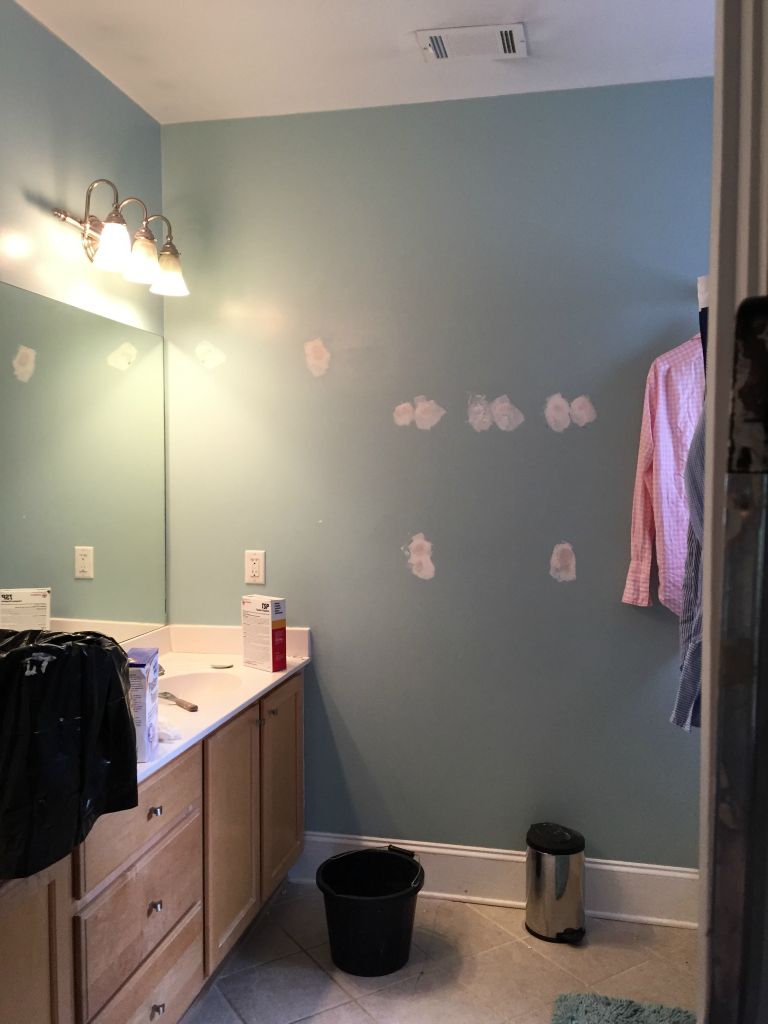 We decide to paint the bathroom while painting the closet