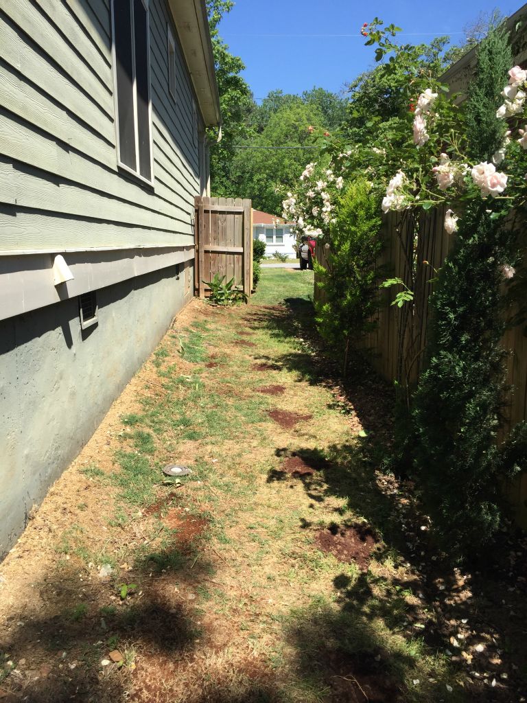 We also take out the fake pavers in the side yard.
