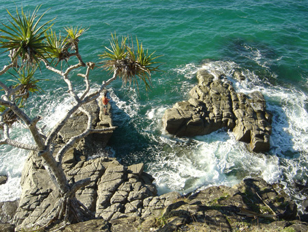 08-The Noosa coast