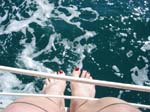 32-Sunning in the winter