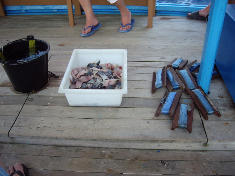 fishing line on boat with bait and bucket