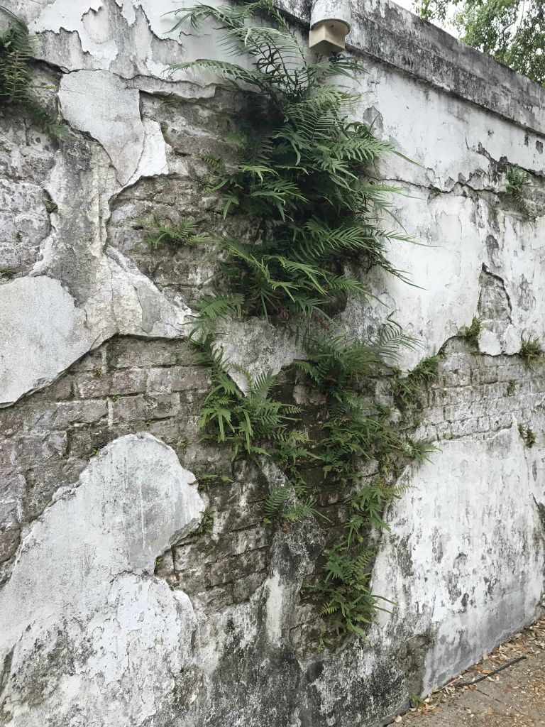 Love the old walls